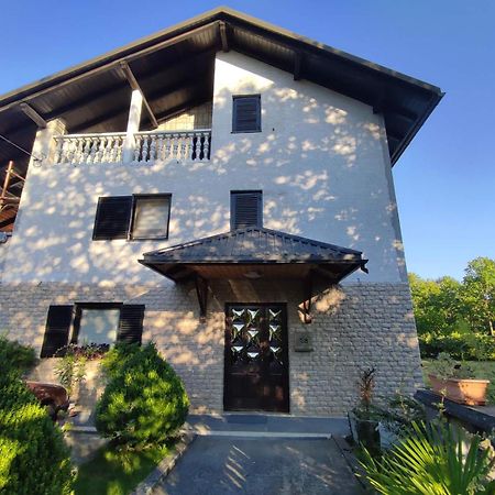 Studio Apartman Gorica オグリン エクステリア 写真