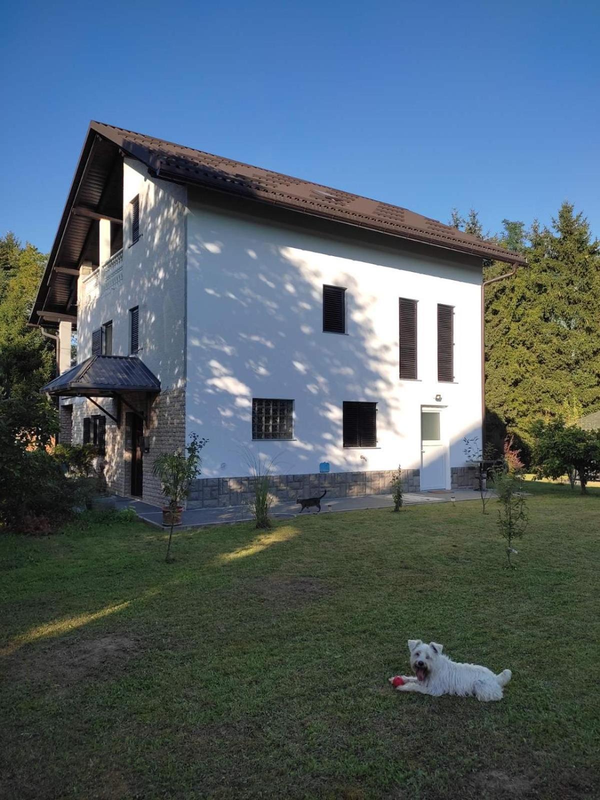 Studio Apartman Gorica オグリン エクステリア 写真